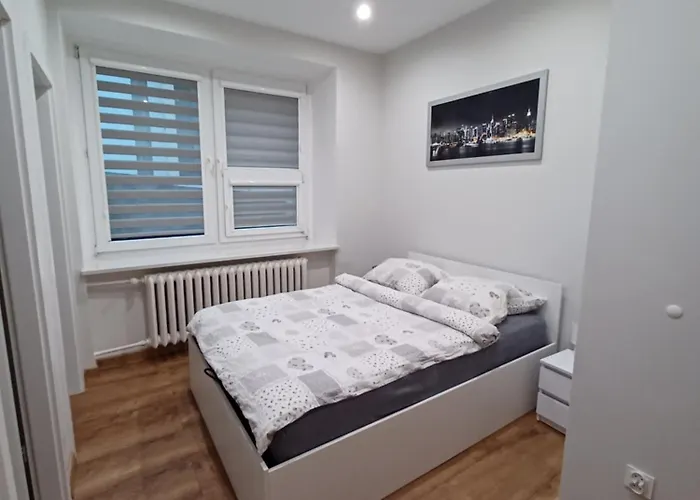 公寓 Staszica 拉多姆